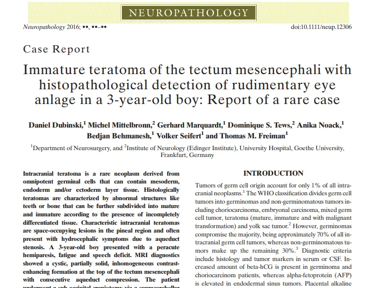 Immature teratoma of the tectum mesencephali with histopathological detection of rudimentary eye anlage in a 3-year-old boy: Report of a rare case