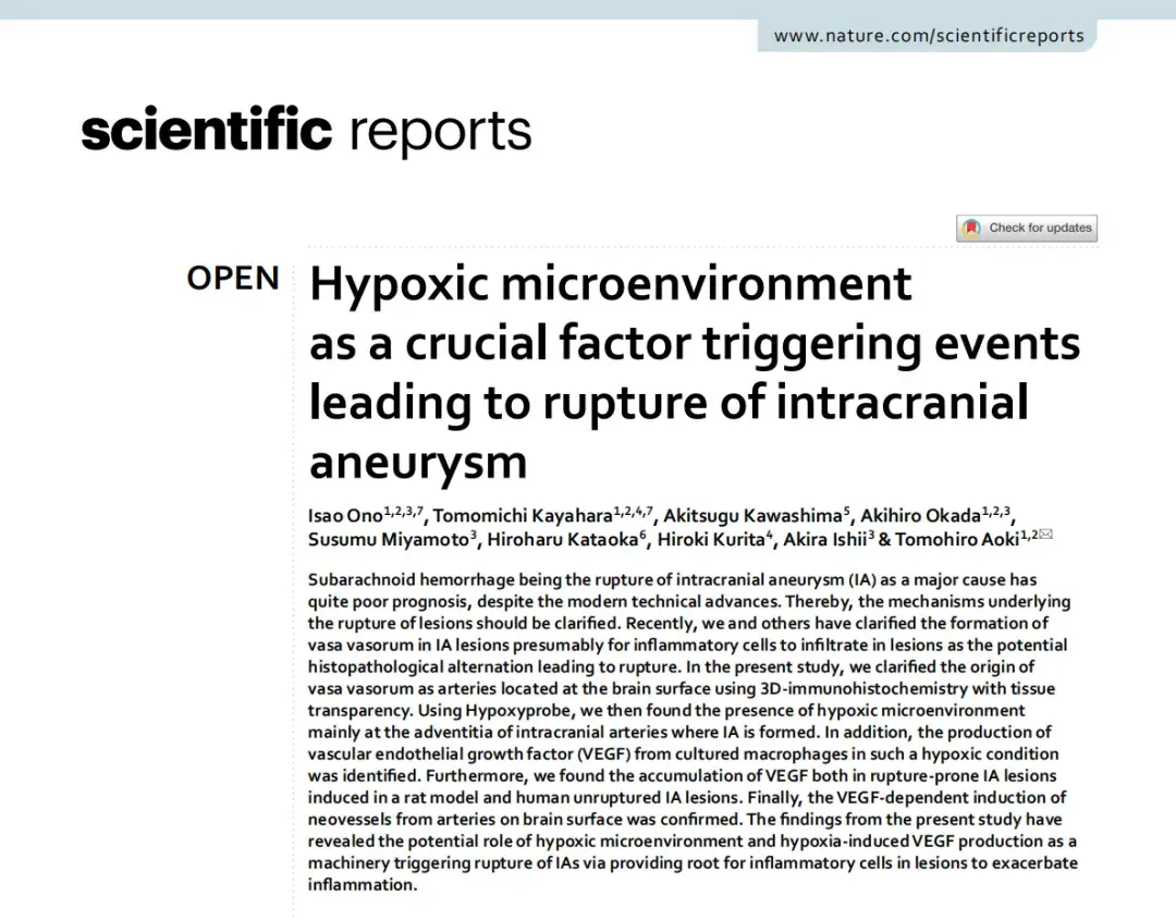 Hypoxic microenvironment as a crucial factor triggering events leading to rupture of intracranial aneurysm