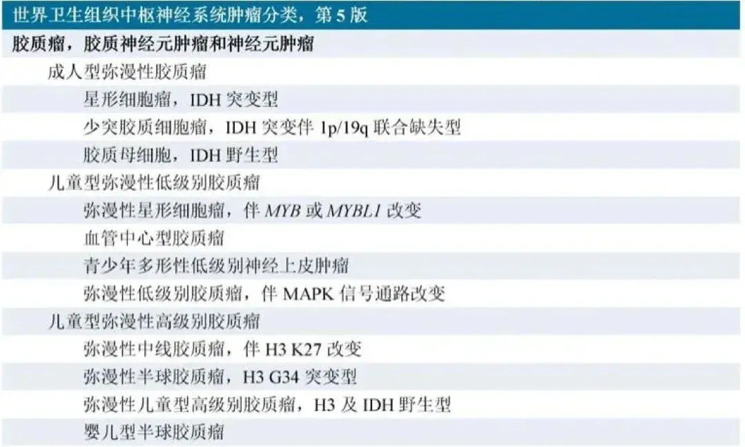 世界卫生组织中枢神经系统肿瘤分类,第5版