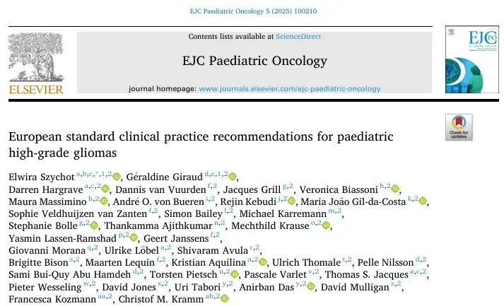 European standard clinical practice recommendations for paediatric high-grade gliomas