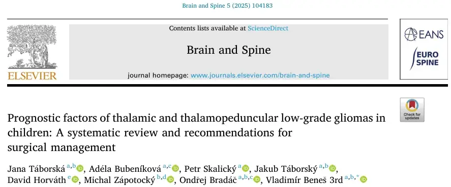 Prognostic factors of thalamic and thalamopeduncular low-grade gliomas in children: A systematic review and recommendations for surgical management