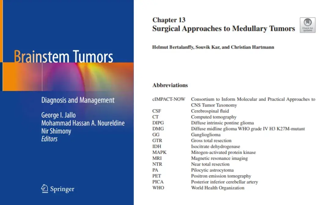 Surgical Approaches to Medullary Tumors