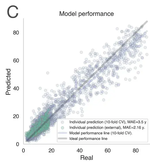Model performance