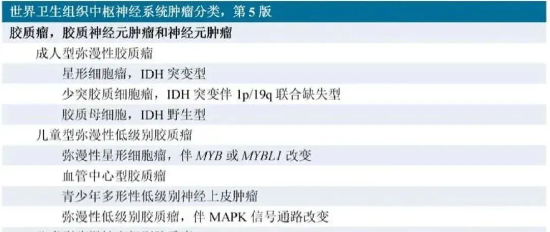 少突胶质瘤三级一般寿命多少年？有人生存超过10年，关键看这几个因素